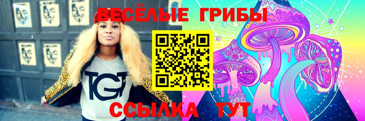 Псилоцибиновые грибы MAGIC MUSHROOMS  Вход с VPN  Богданович 